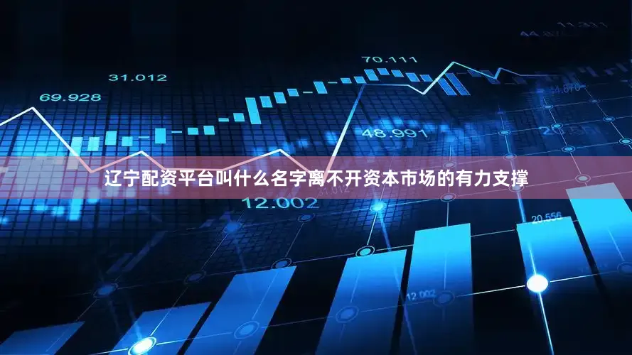 辽宁配资平台叫什么名字离不开资本市场的有力支撑