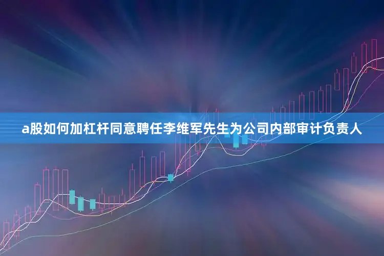 a股如何加杠杆同意聘任李维军先生为公司内部审计负责人