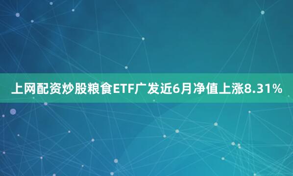 上网配资炒股粮食ETF广发近6月净值上涨8.31%
